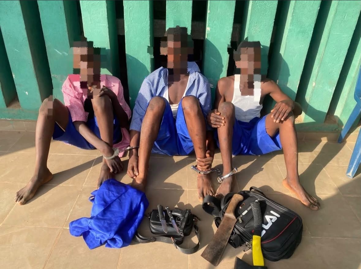 Ogun Police Arrest Three Students Over Suspected Cult Initiation, Recover Weapons