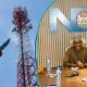 STN gets UASL Licence, sets sights on MTN, Airtel in Nigeria’s telecom market
