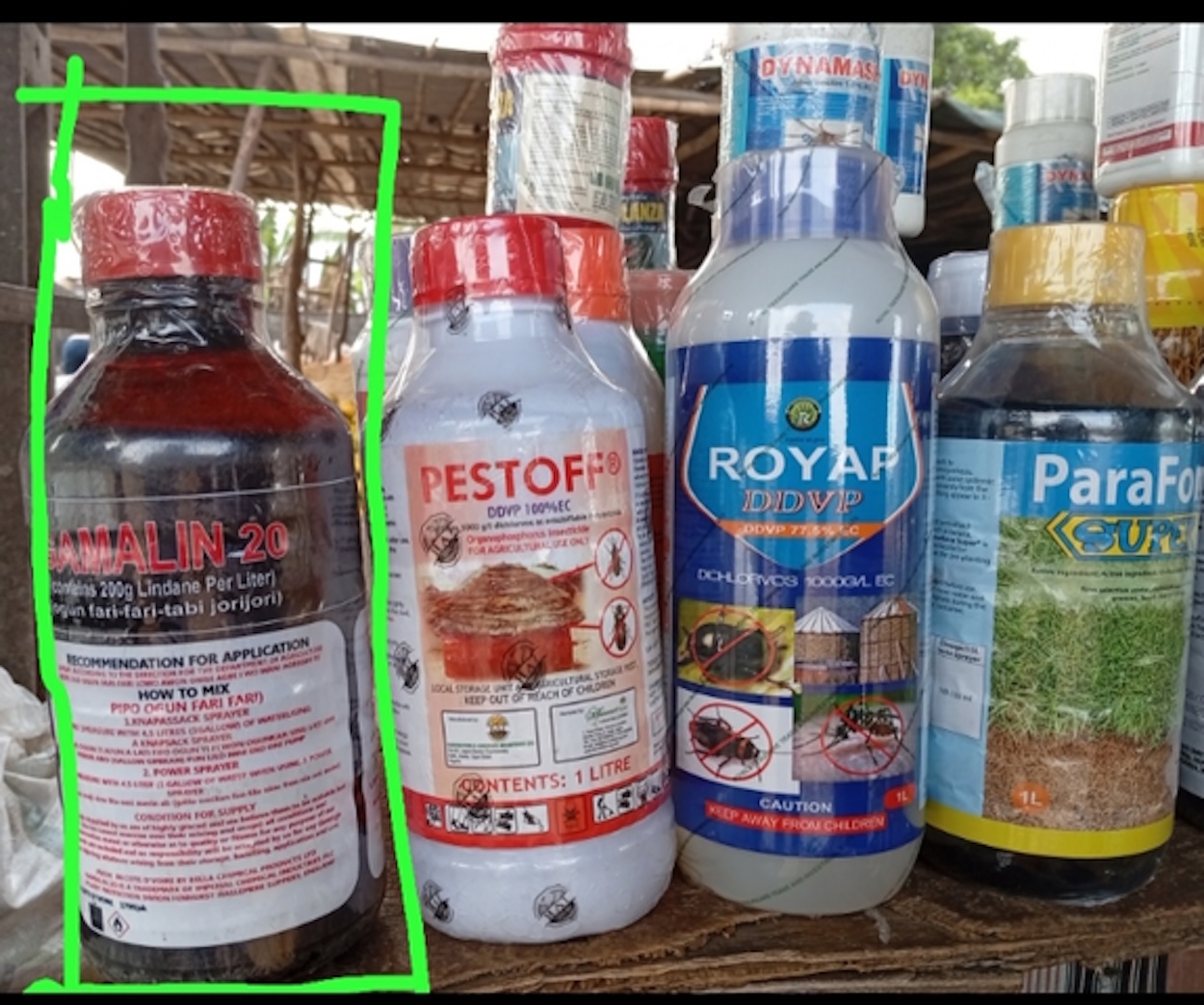 Study warns household insecticide may damage muscles, disrupt glucose metabolism